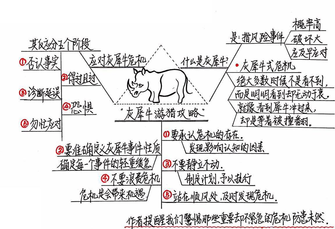 灰犀牛