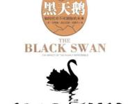 《黑天鹅》突如其来的股灾!犹如死神降临|读后感|读书笔记