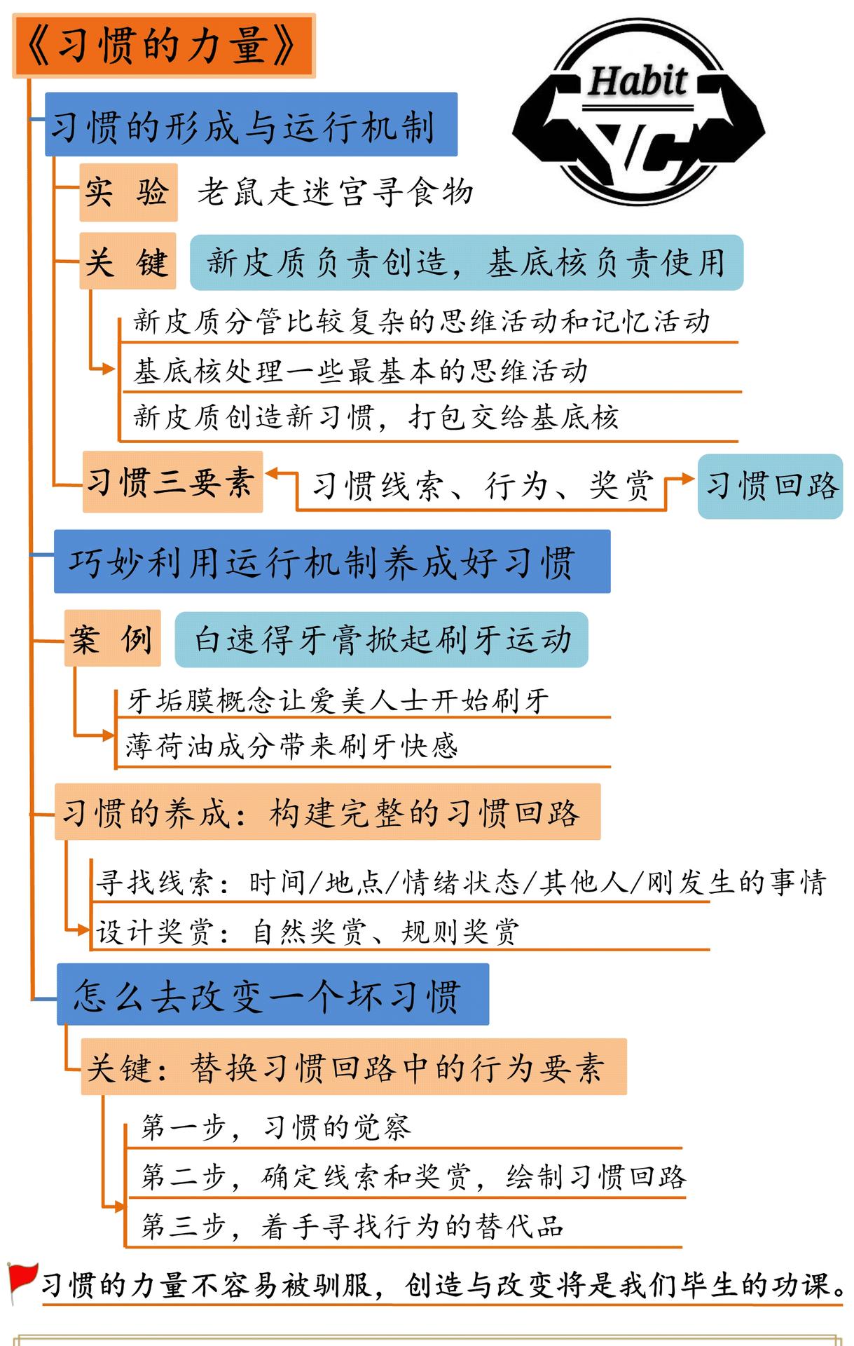 习惯的力量