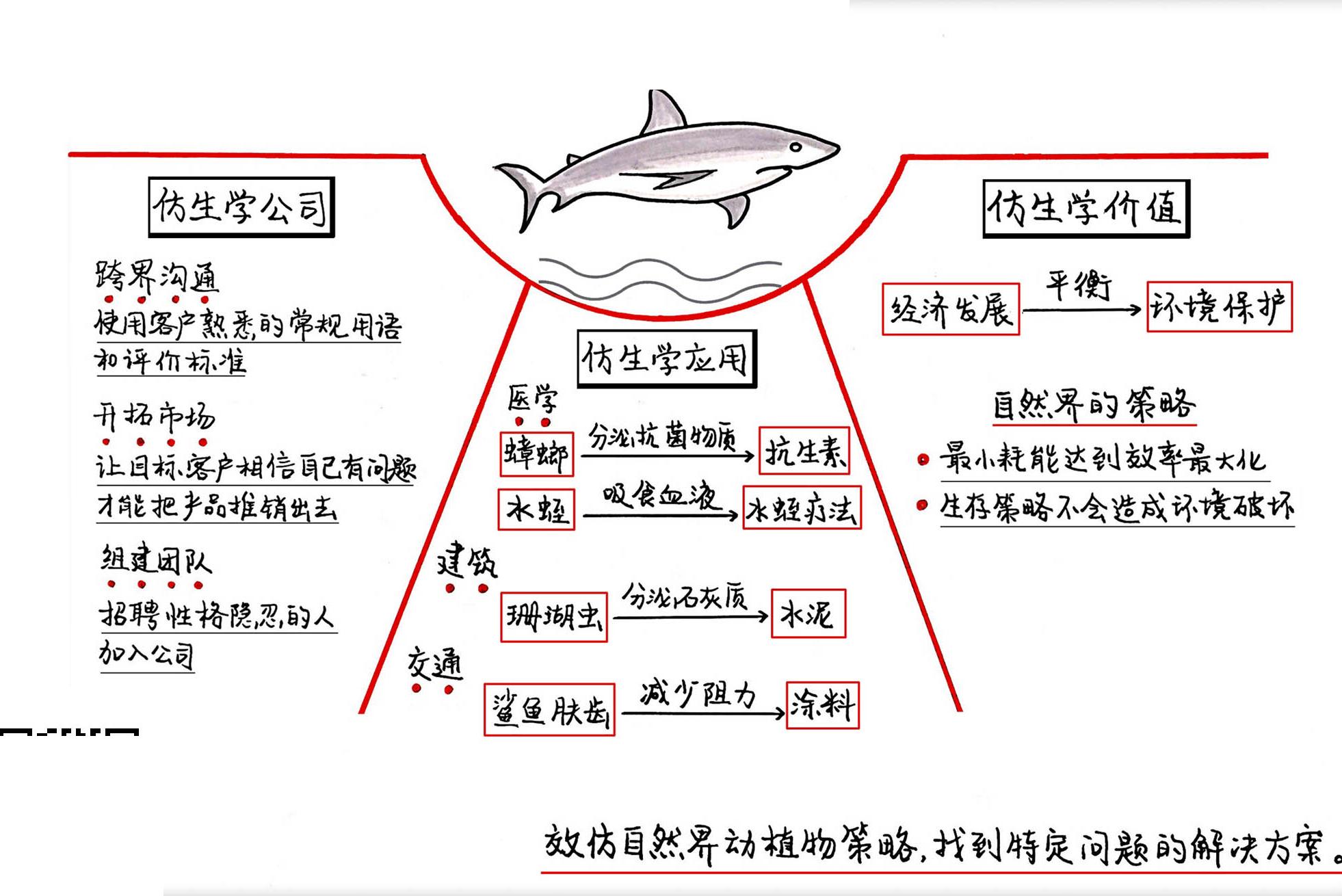 创新启示