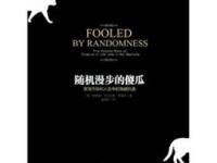 《随机漫步的傻瓜》|读后感|读书笔记