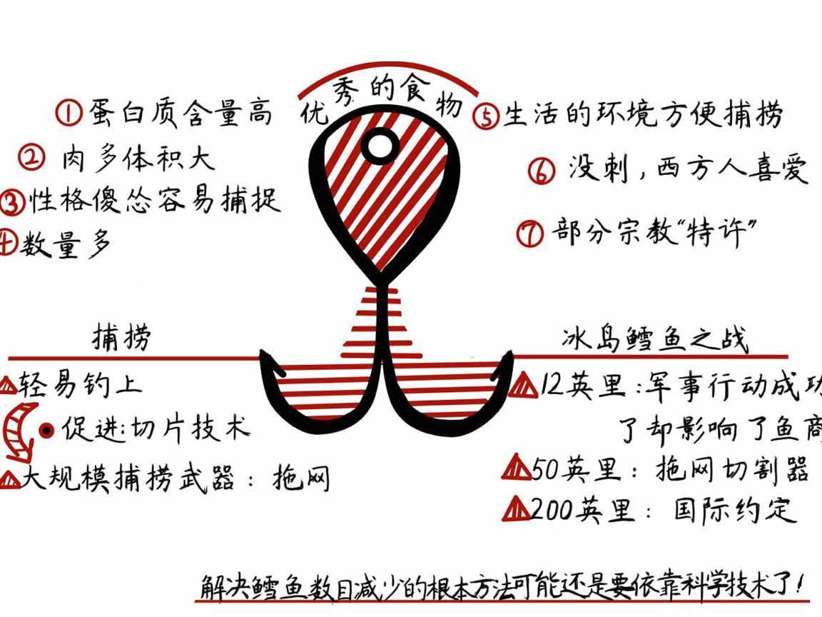 鳕鱼往事