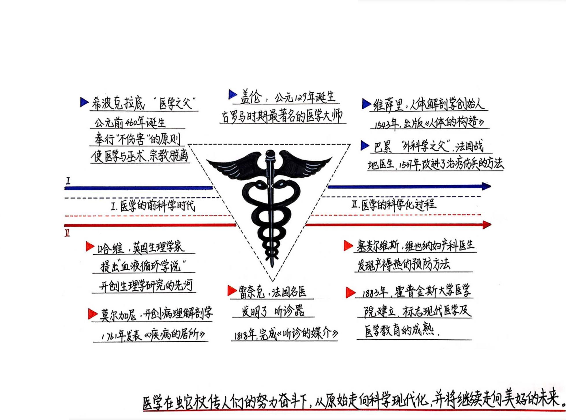 蛇杖的传人