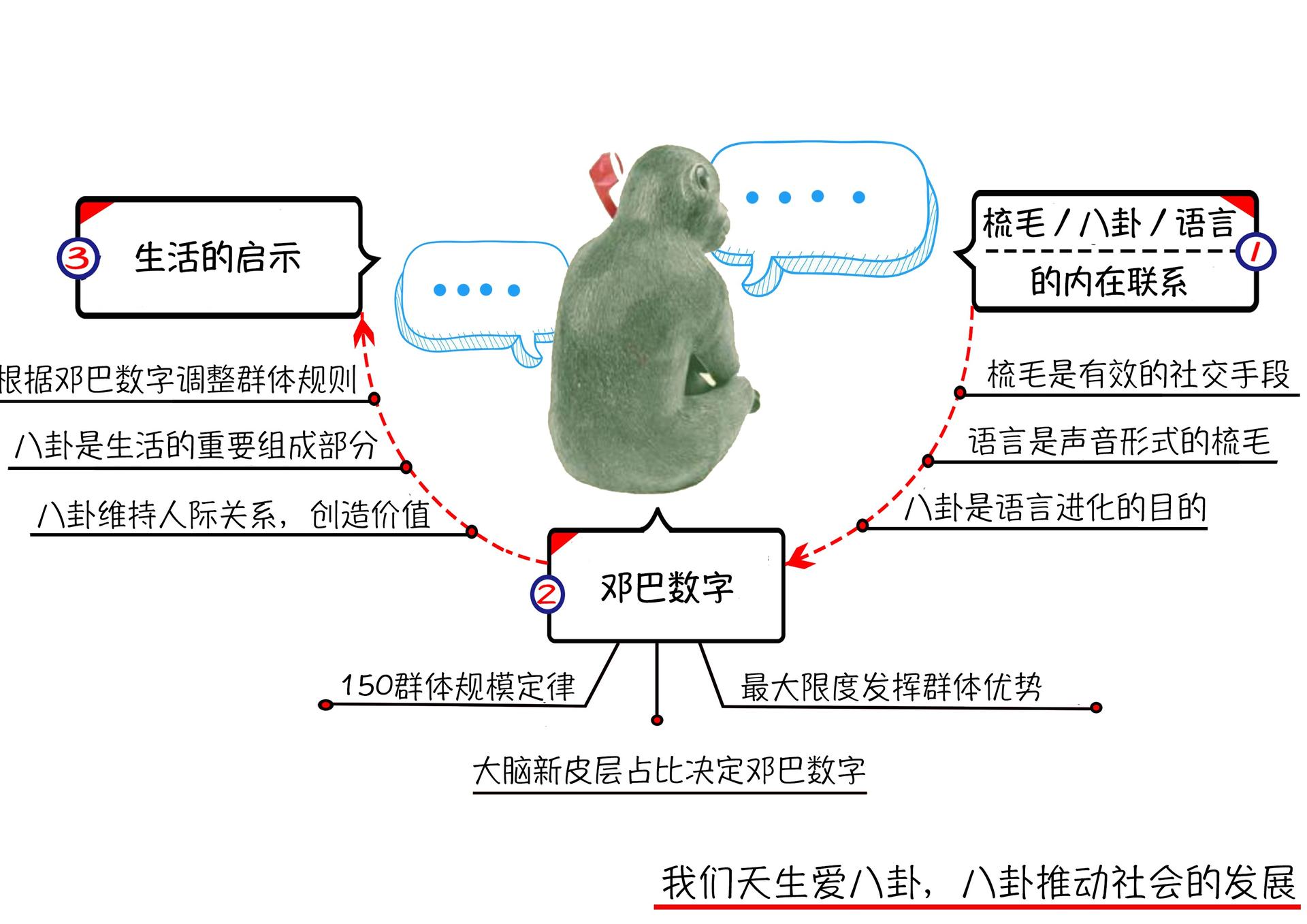 梳毛、八卦及语言的进化