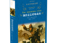 《钢铁是怎样炼成的》|读后感|读书笔记