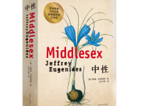 《中性》|读后感|读书笔记