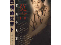 《透明的红萝卜》|读后感|读书笔记