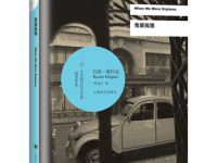 《我辈孤雏》|读后感|读书笔记