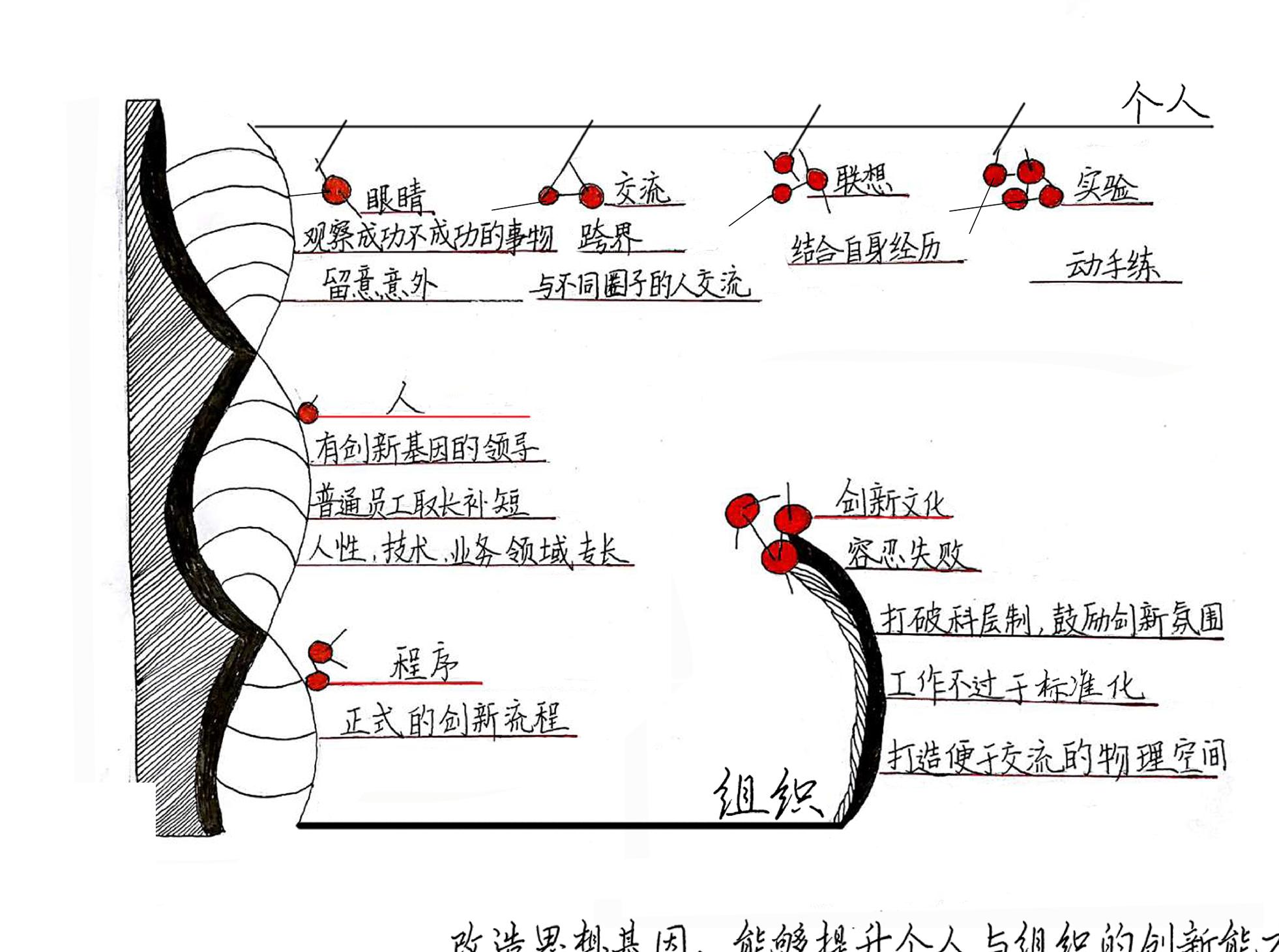 创新者的基因