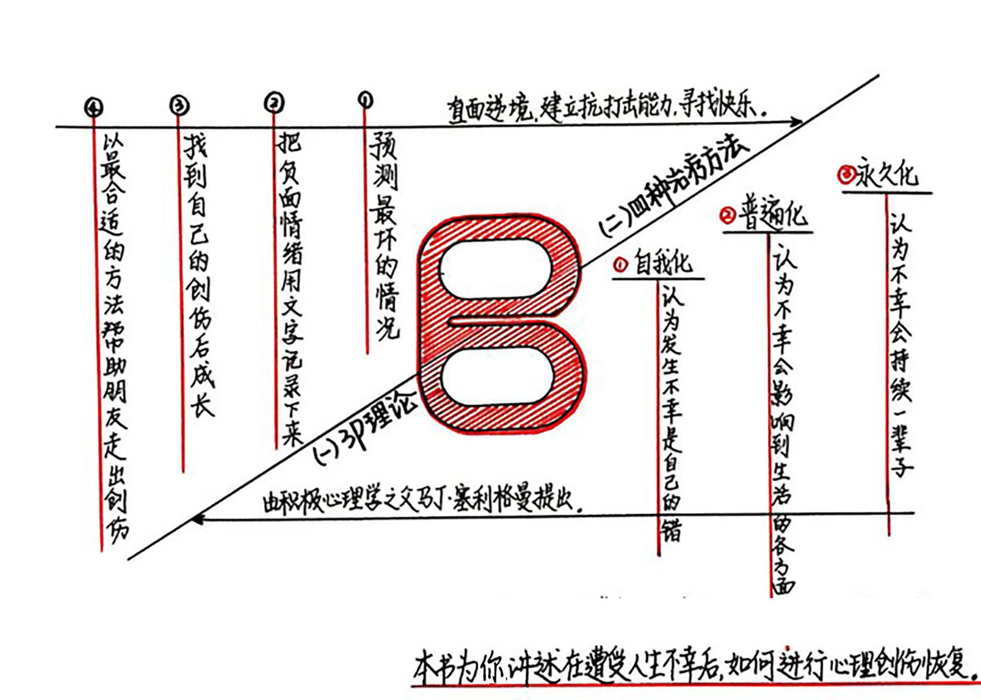 B选项