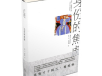 《身份的焦虑》|读后感|读书笔记