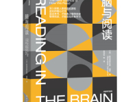 《脑与阅读》|读后感|读书笔记