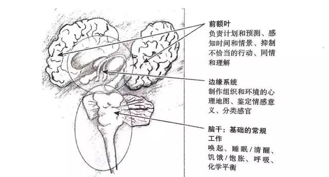 身体从未忘记