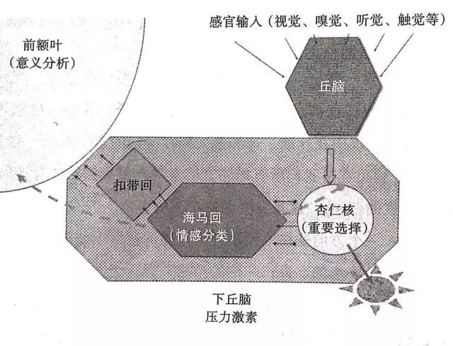 身体从未忘记