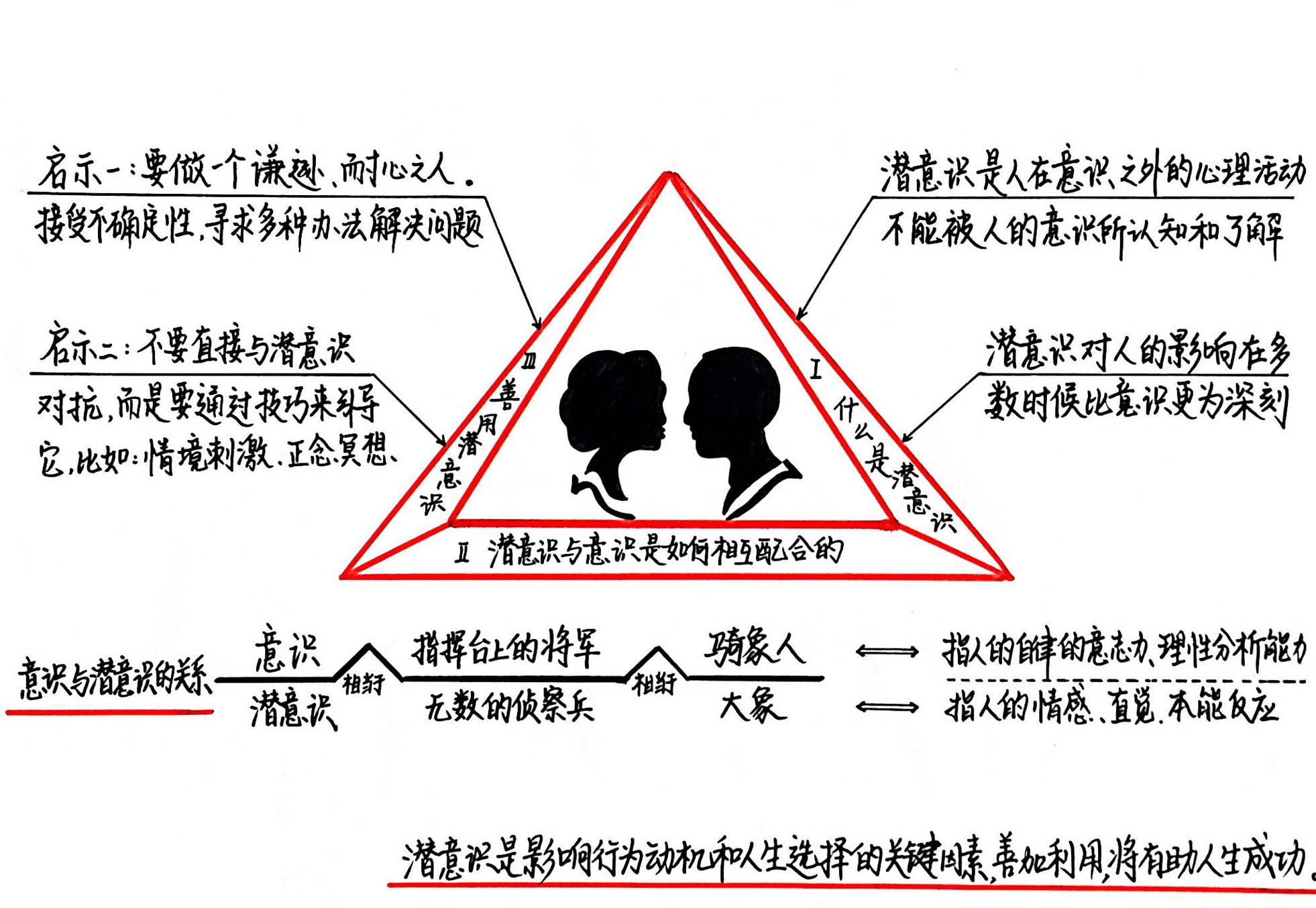 社会动物