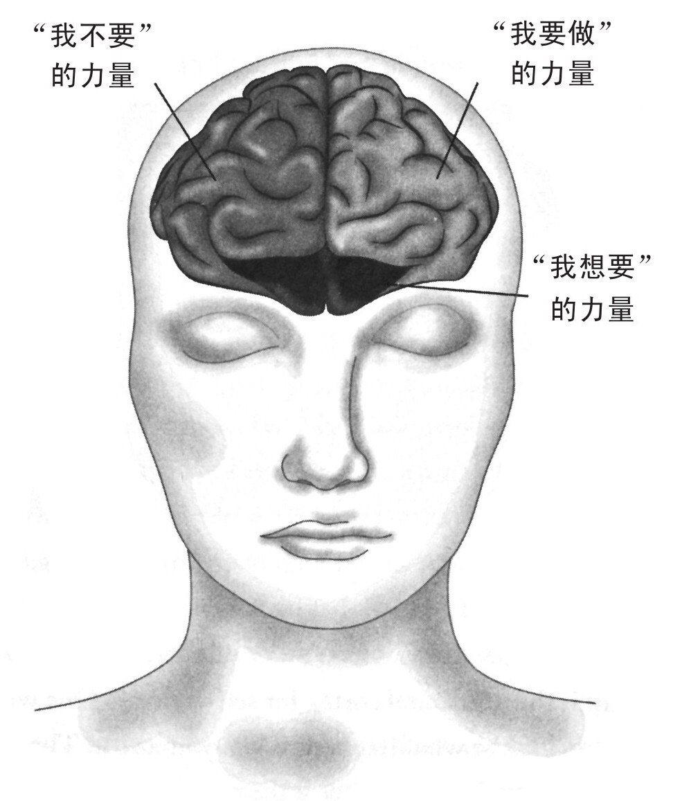 自控力 读书笔记