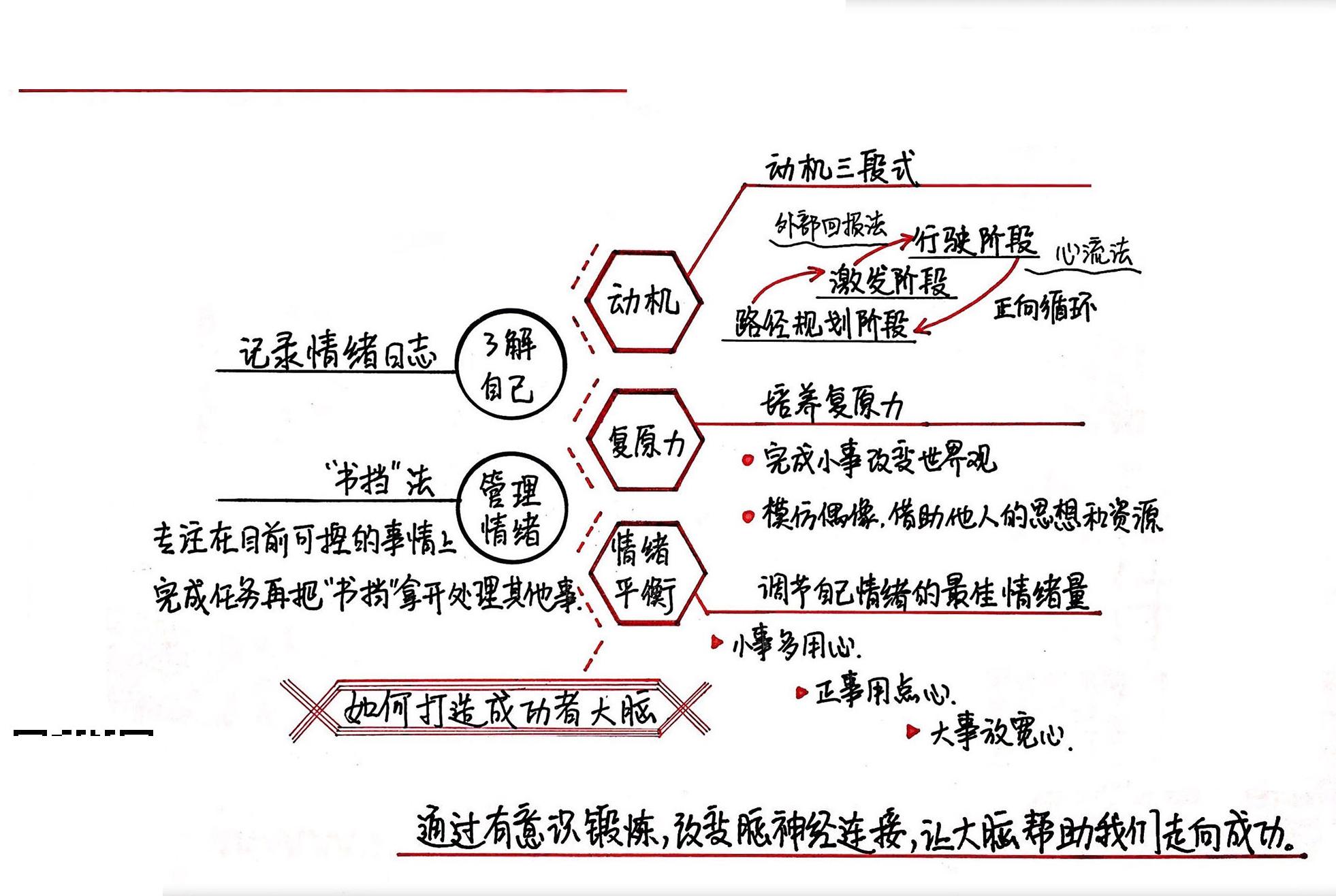 成功者的大脑