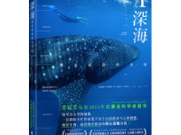 《深海》|读后感|读书笔记