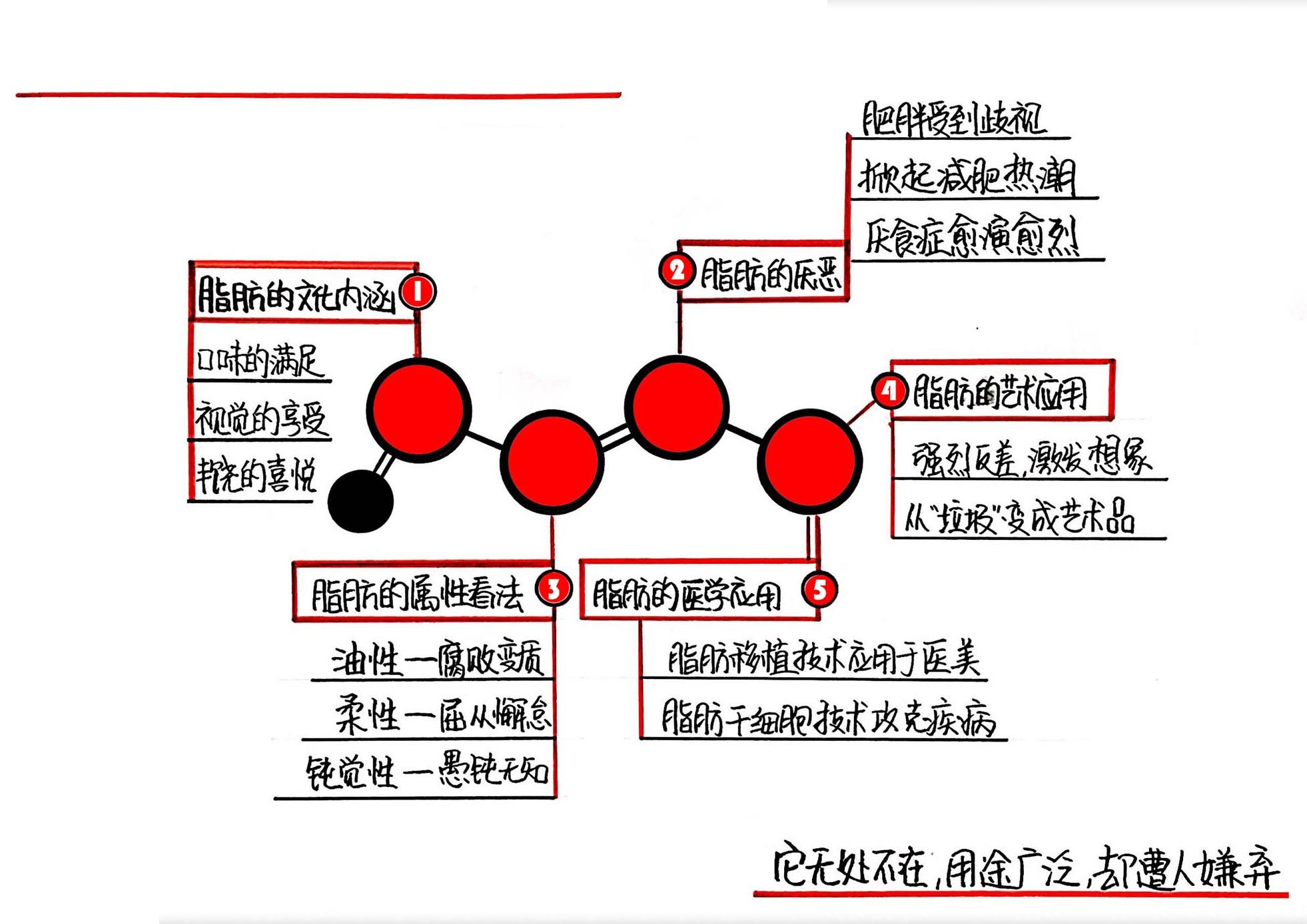 脂肪：文化和物质性