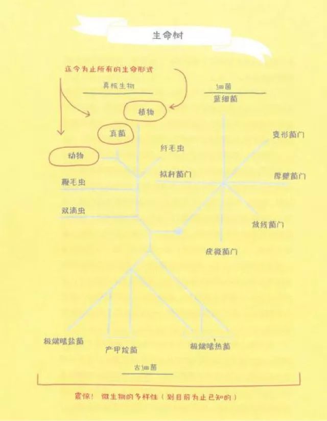 为什么有的人特别招蚊子