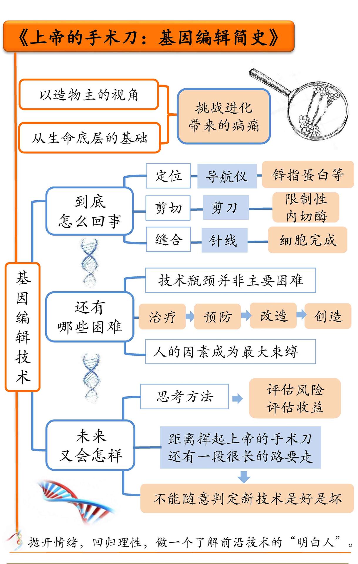 上帝的手术刀