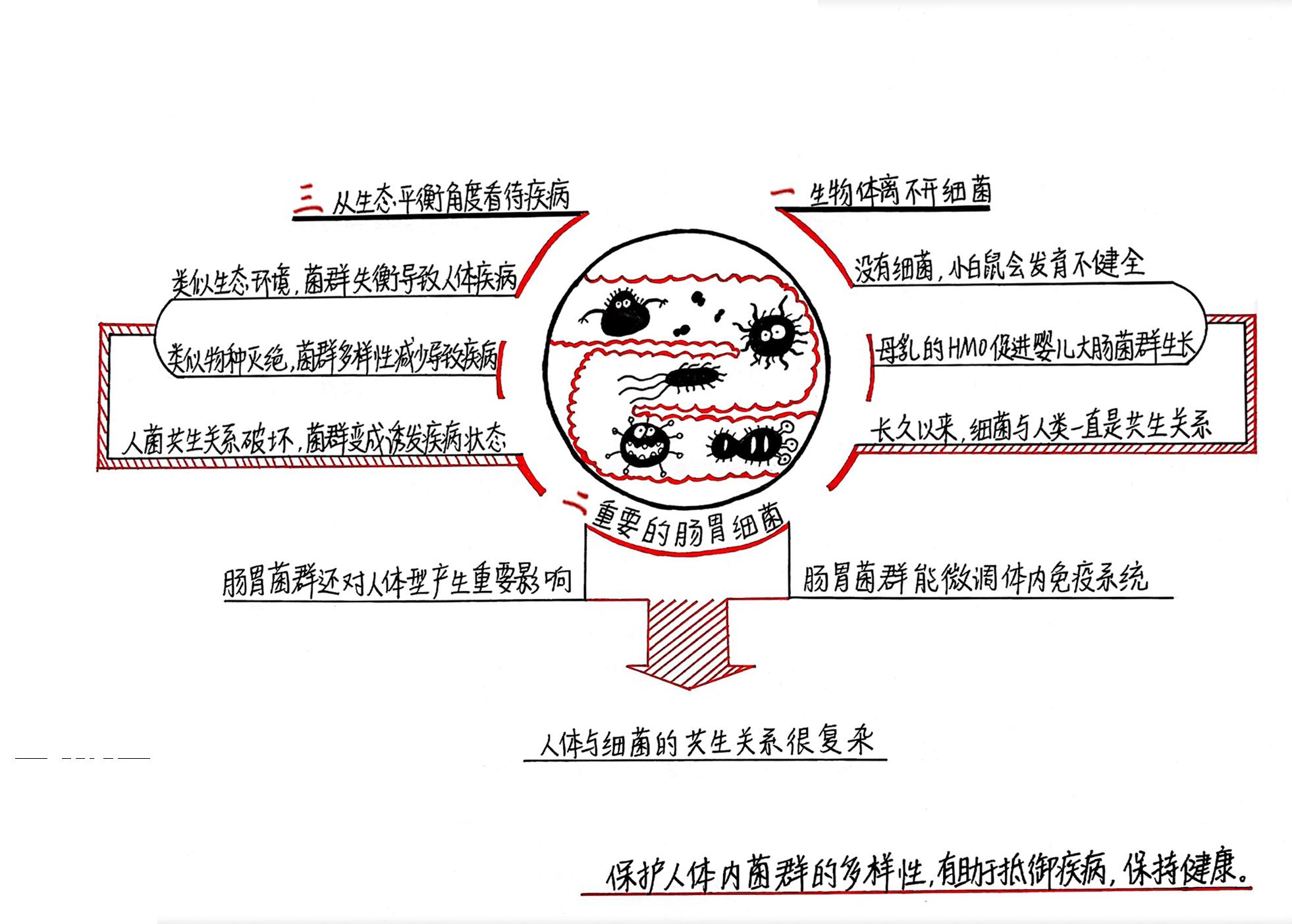 我包罗万象