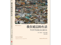 《我在底层的生活》|读后感|读书笔记