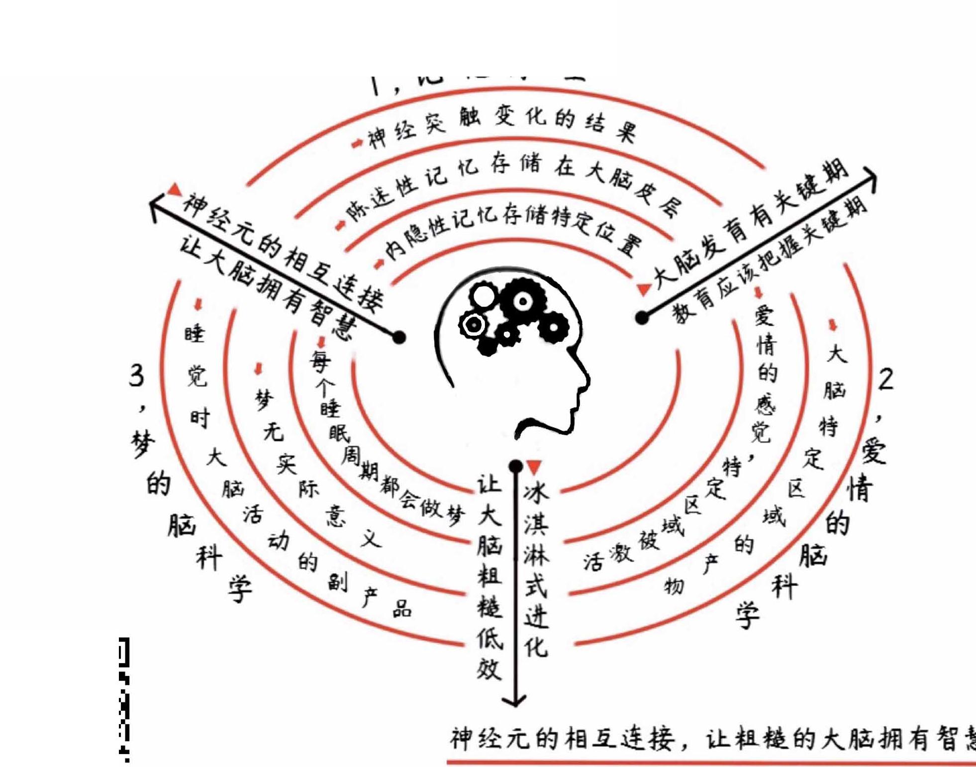 进化的大脑