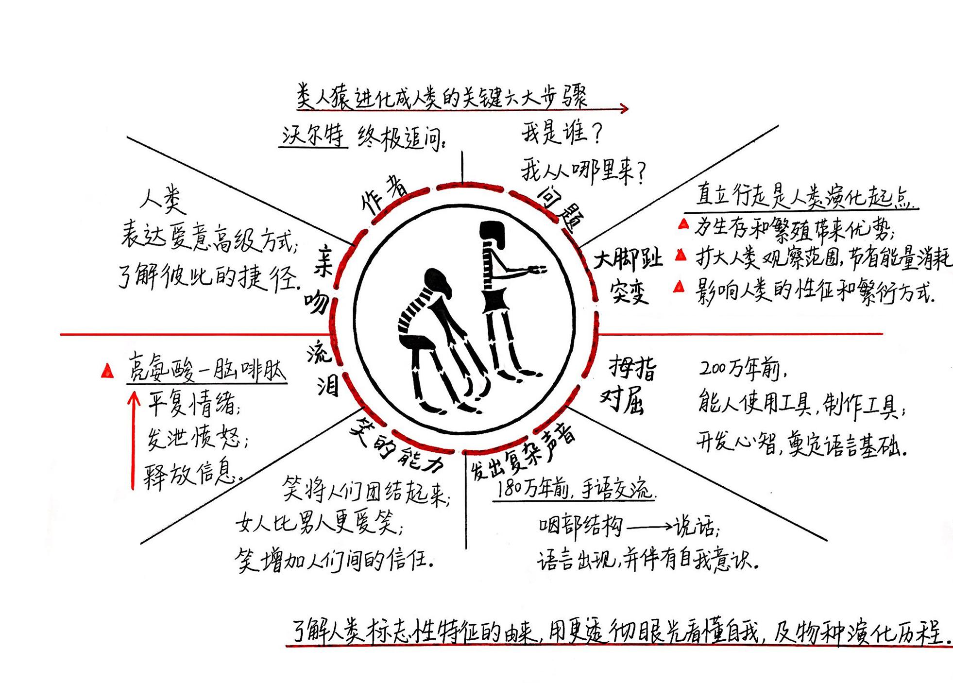 重返人类演化现场