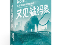 《又见猛犸象》|读后感|读书笔记