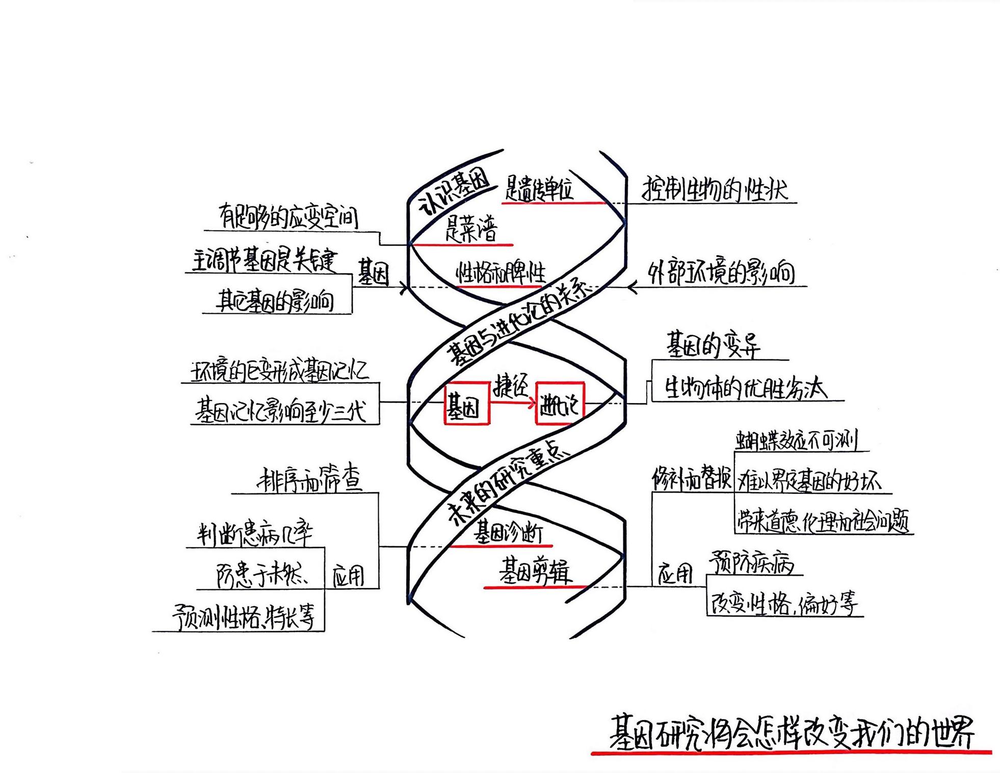 基因传