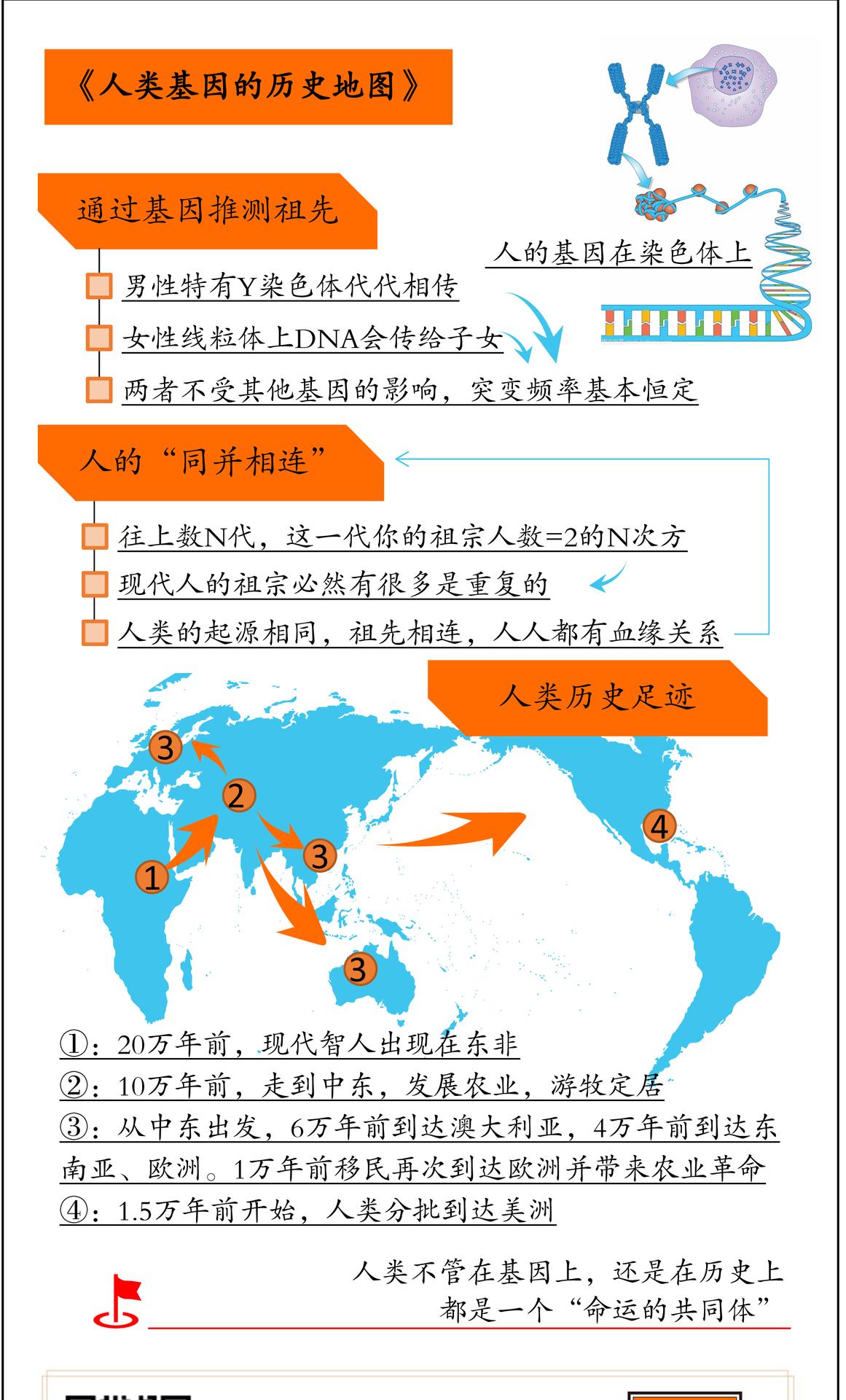 人类基因的历史地图