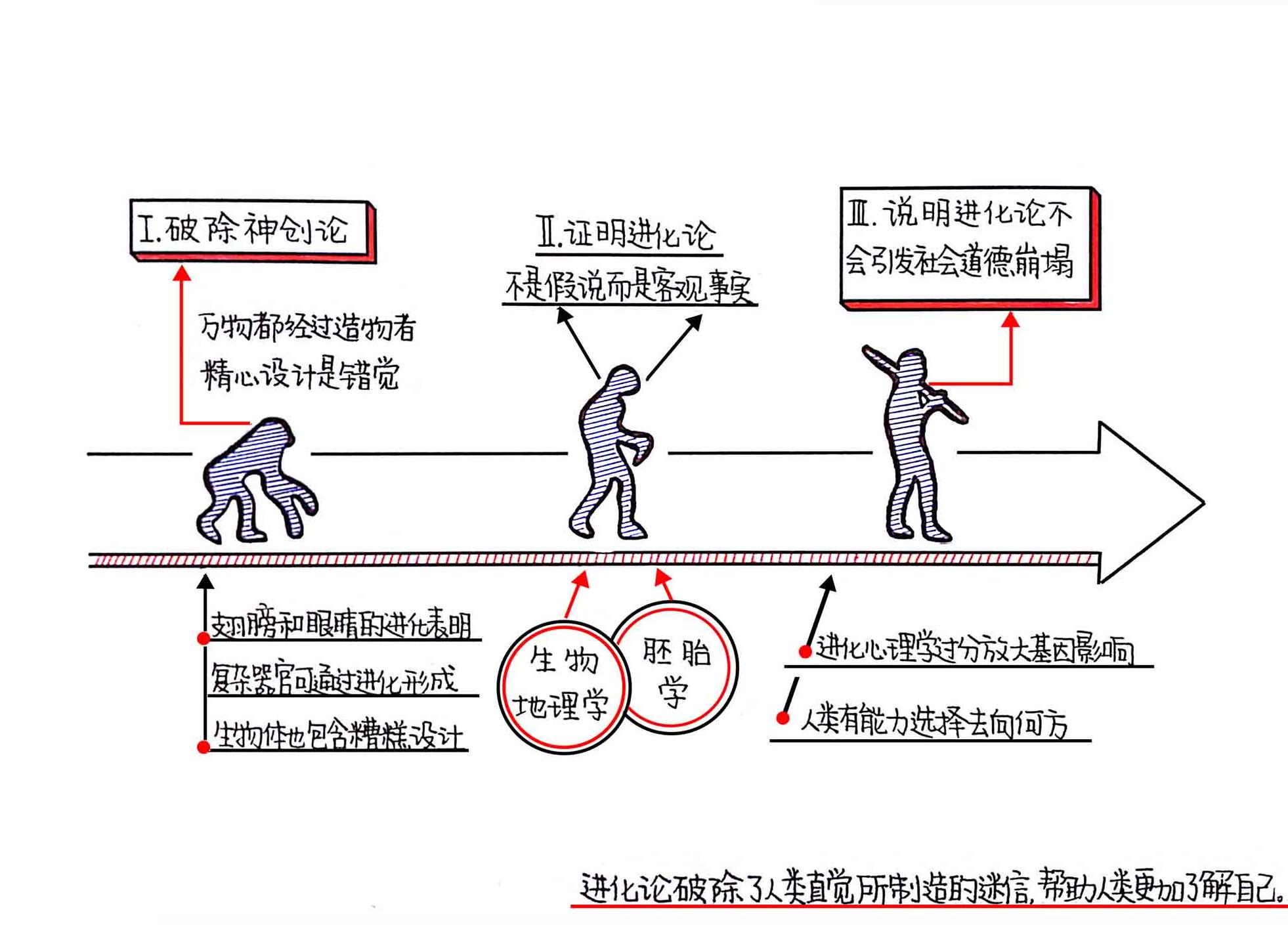 为什么要相信达尔文 思维导图