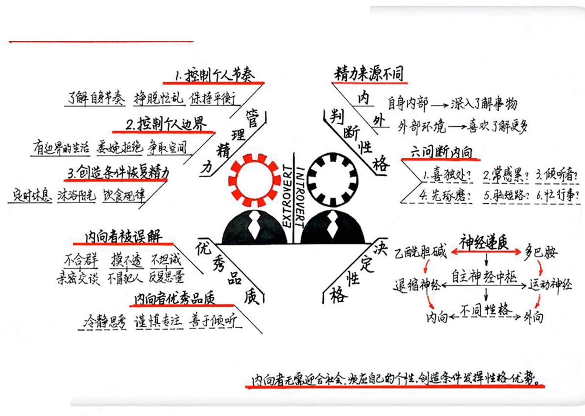 《内向者心理学》